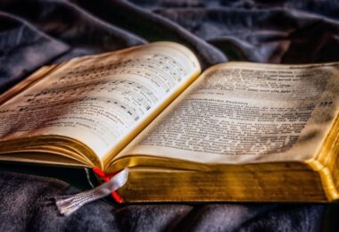 Fanbases literárias e cultura de nicho como livros de fantasia movimentam blogs, fóruns e redes sociais