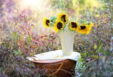 Melhores tipos de arranjo de flores para presentear