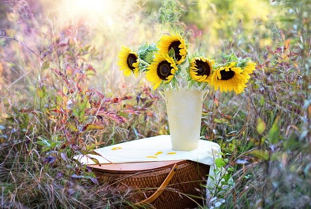 Melhores tipos de arranjo de flores para presentear